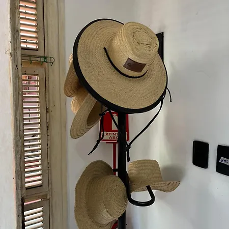 Albergue Aloha Fortaleza (Ceara)